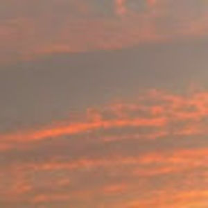 Meet your Posher, Hailey